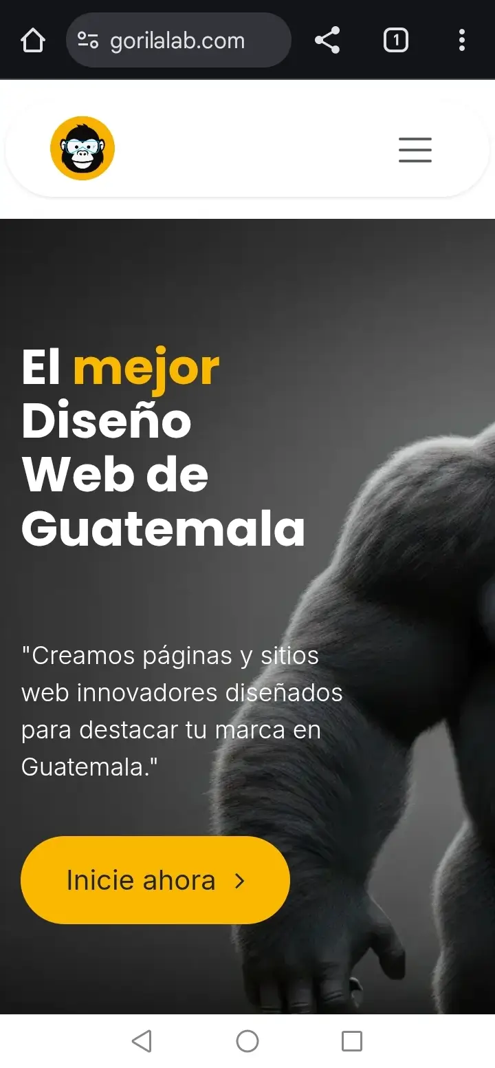 Imagen representativa de una web en un celular